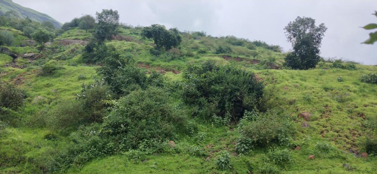 Golden Resort And Farm Nashik Luaran gambar